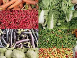 Harga Komoditas Sayur di Rejang Lebong Naik, Cabai Merah Tembus Rp 65.000 per Kilogram